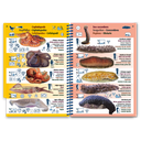 Pictolife Guía Especies del Mediterráneo