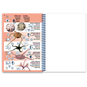 Pictolife Guía Especies del Mediterráneo