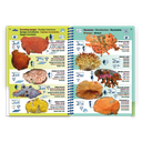 Pictolife Guía Especies del Mediterráneo