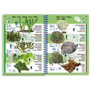 Pictolife Guía Especies del Mediterráneo