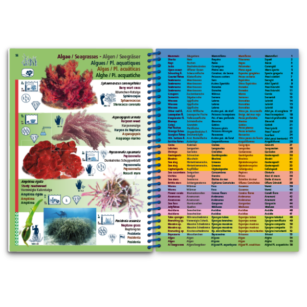 Pictolife Guía Especies del Mediterráneo