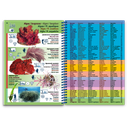 Pictolife Guía Especies del Mediterráneo