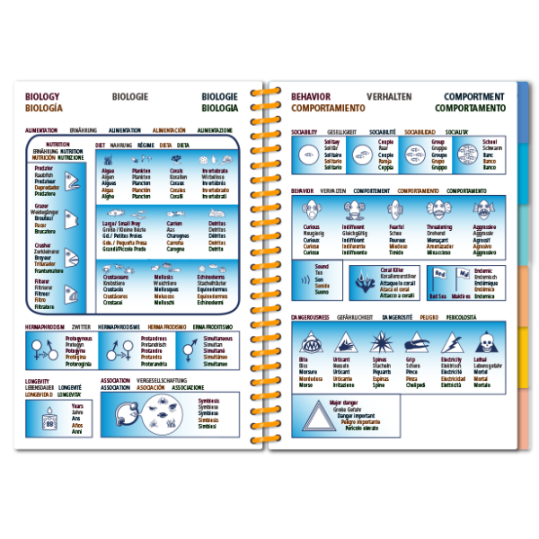 Pictolife Guía Especies del Mar Rojo, Indico, Maldivas