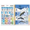 Pictolife Guía Especies del Mar Rojo, Indico, Maldivas