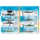 Pictolife Guía Especies del Mar Rojo, Indico, Maldivas