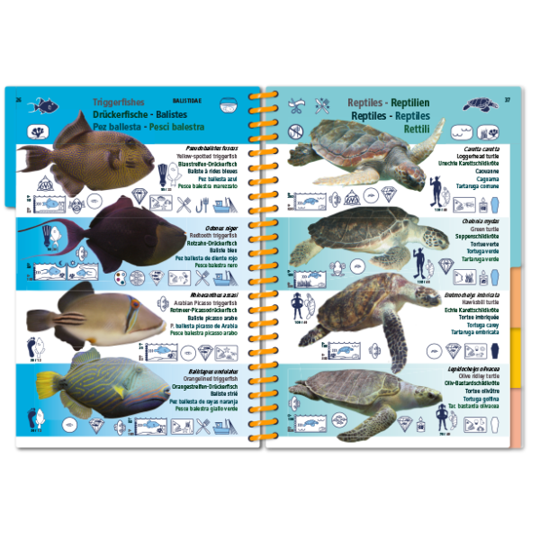 Pictolife Guía Especies del Mar Rojo, Indico, Maldivas