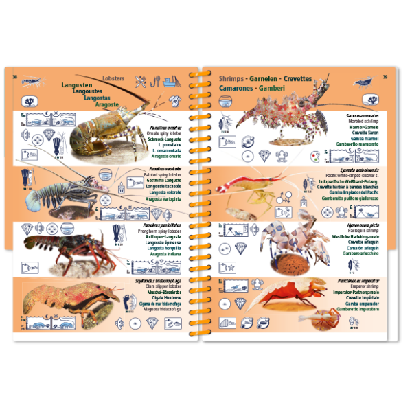 Pictolife Guía Especies del Mar Rojo, Indico, Maldivas