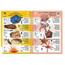 Pictolife Guía Especies del Mar Rojo, Indico, Maldivas