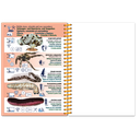 Pictolife Guía Especies del Mar Rojo, Indico, Maldivas