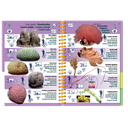 Pictolife Guía Especies del Mar Rojo, Indico, Maldivas