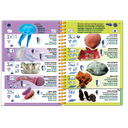 Pictolife Guía Especies del Mar Rojo, Indico, Maldivas