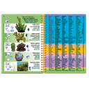 Pictolife Guía Especies del Mar Rojo, Indico, Maldivas