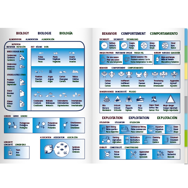 Pictolife Guía de Especies del Litoral en Bajamar del Atlántico Este