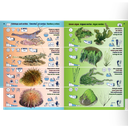Pictolife Guía de Especies del Litoral en Bajamar del Atlántico Este