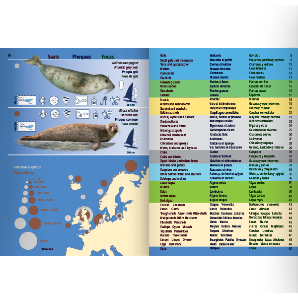 Pictolife Guía de Especies del Litoral en Bajamar del Atlántico Este