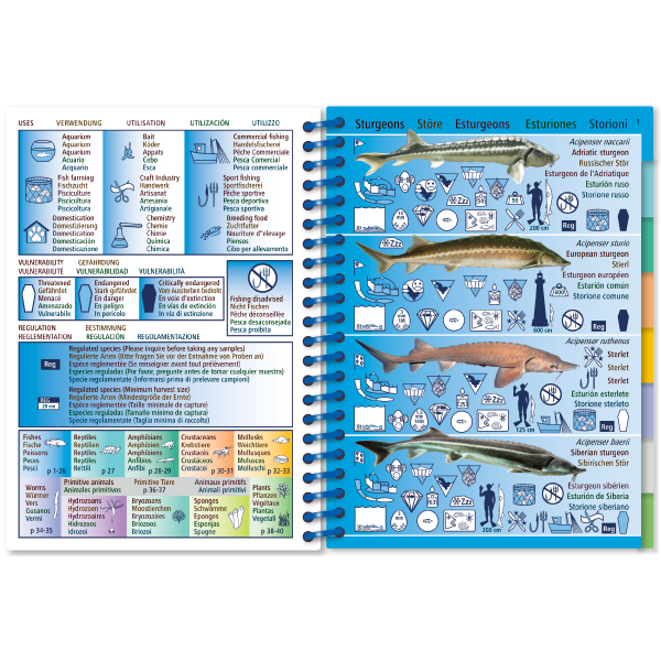 Pictolife Guía de Especies de Agua Dulce de Europa Occidental