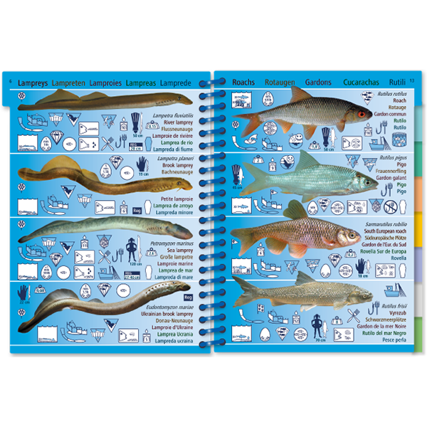 Pictolife Guía de Especies de Agua Dulce de Europa Occidental
