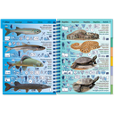 Pictolife Guía de Especies de Agua Dulce de Europa Occidental