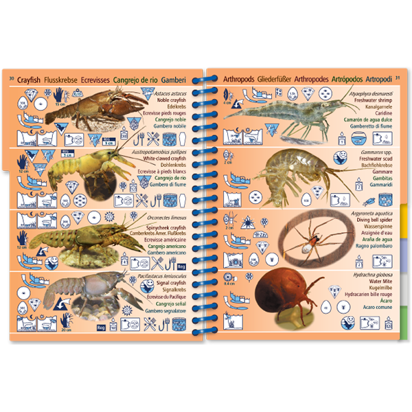 Pictolife Guía de Especies de Agua Dulce de Europa Occidental