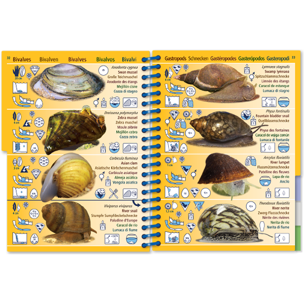 Pictolife Guía de Especies de Agua Dulce de Europa Occidental