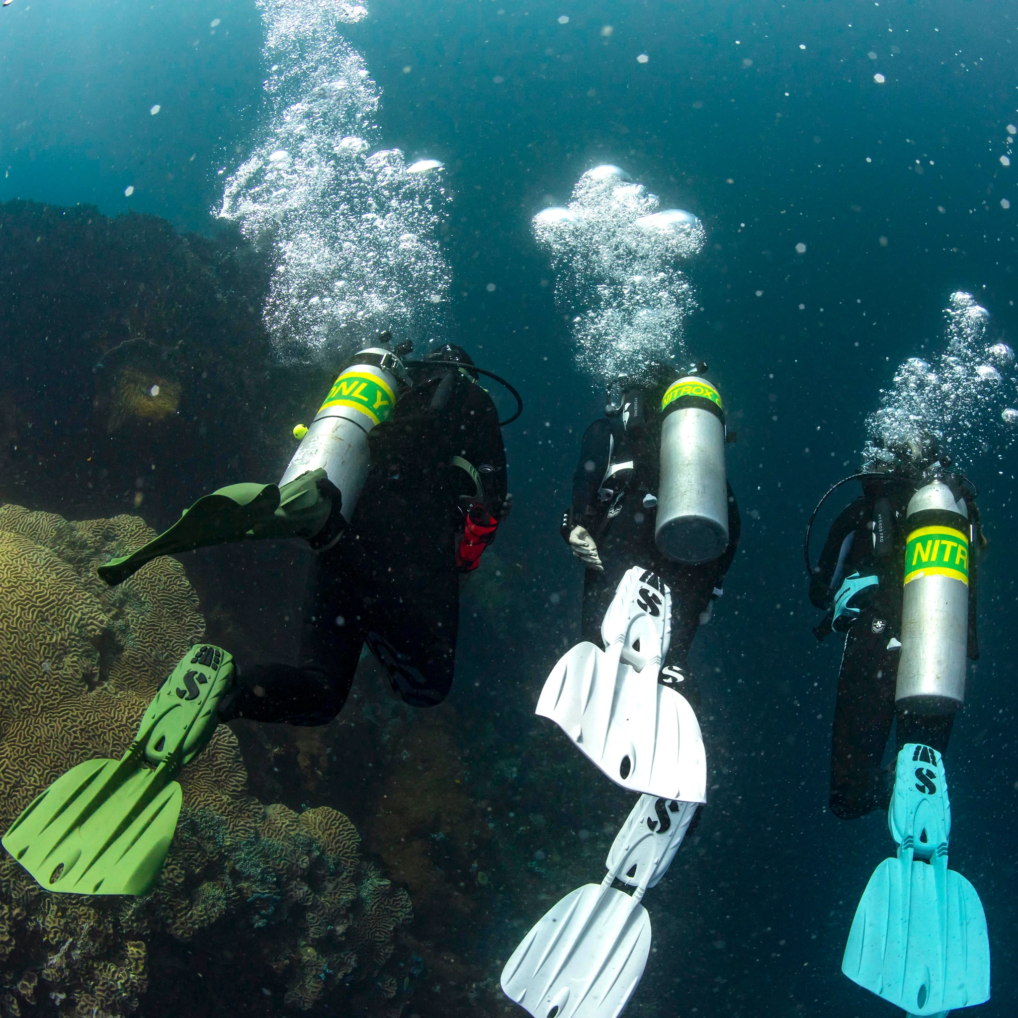 Scubapro Aletas Seawing Nova Gorilla Oliva Verde