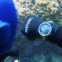 Seac Action Negro / Blanco