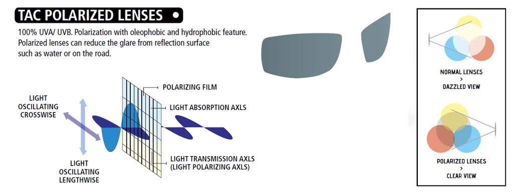 Cressi Gafas del Sol Rio Polarizada Azul