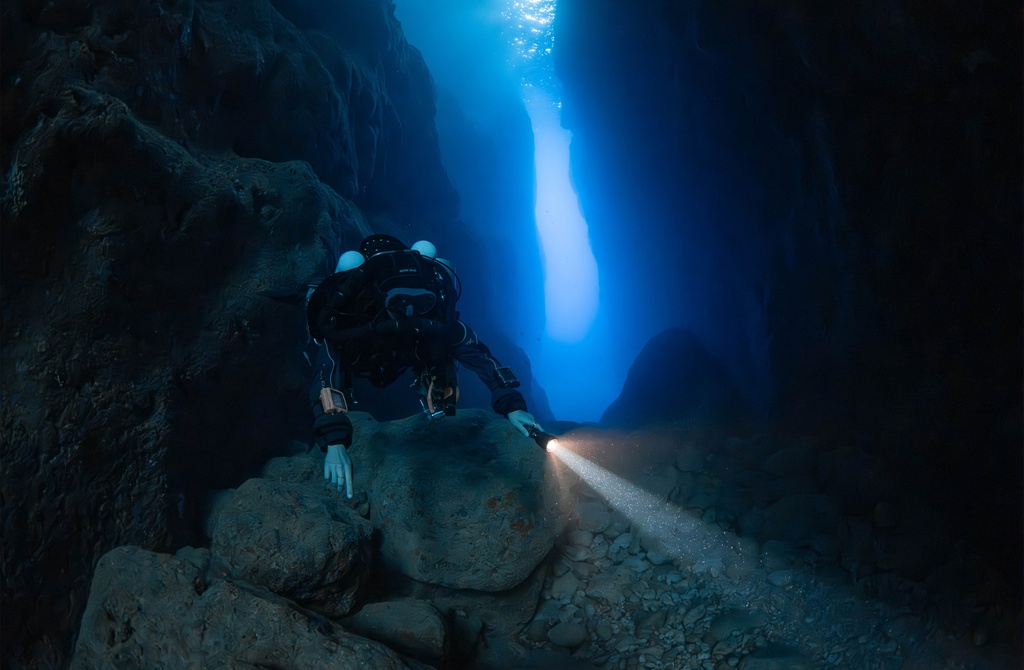 Tecline LED Light Zoom 1500lm Naranja con Goodman