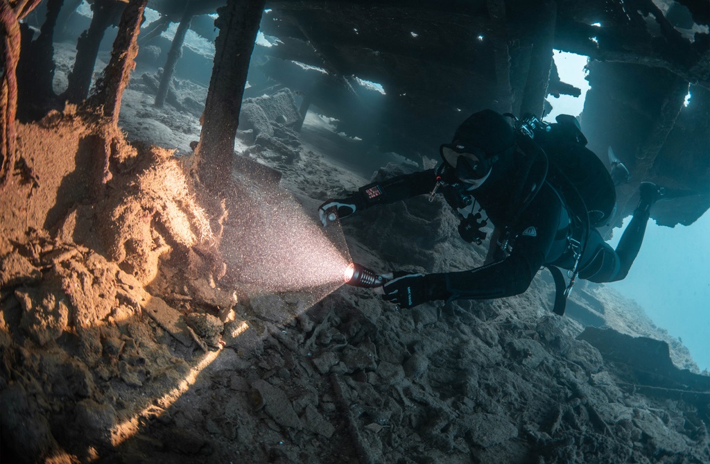 Tecline LED Light Zoom 1500lm Negro con Goodman