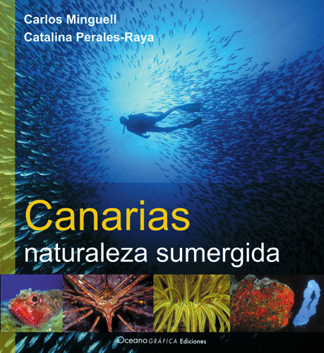 [84-609-2899-3] Oceanografica Canarias Naturaleza Sumergida