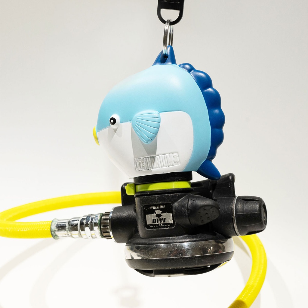 Oceanarium Octopus Holder Mola