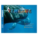 F. Baringo Guía de Buceo Tenerife