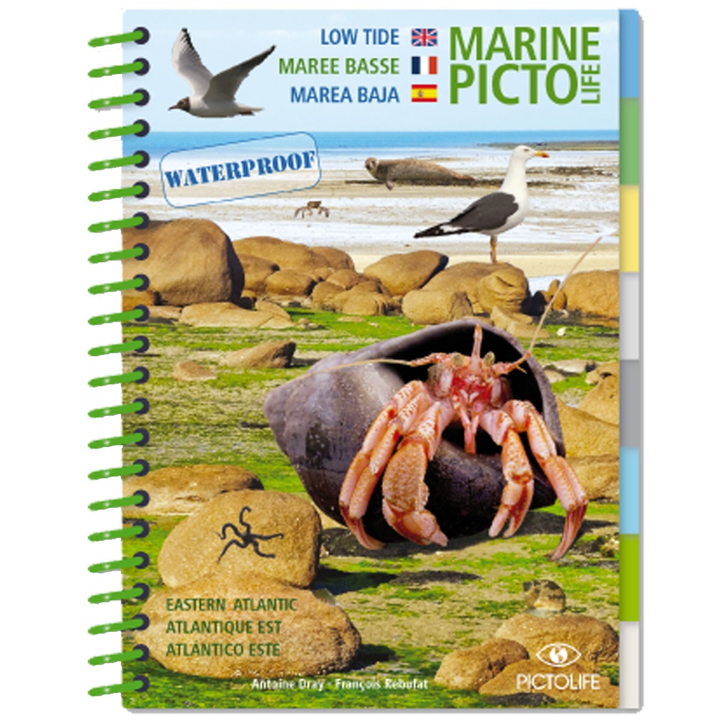 [979-10-96592-07-4] Pictolife Guía de Especies del Litoral en Bajamar del Atlántico Este