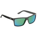 Cressi Gafas del Sol Rio Polarizada Negro / Verde