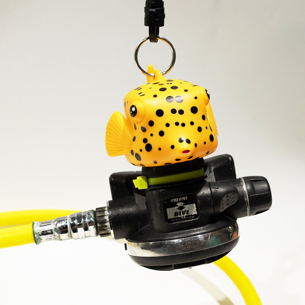 [OC-F05] Oceanarium Octopus Holder Boxfish