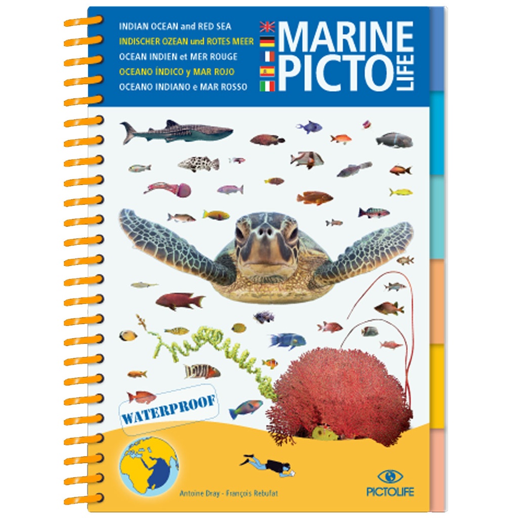 [978-2-9527809-3-3] Pictolife Guía Especies del Mar Rojo, Indico, Maldivas