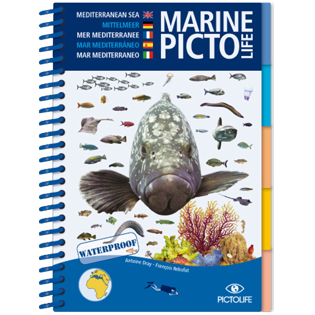[978-2-9527809-1-9] Pictolife Guía Especies del Mediterráneo