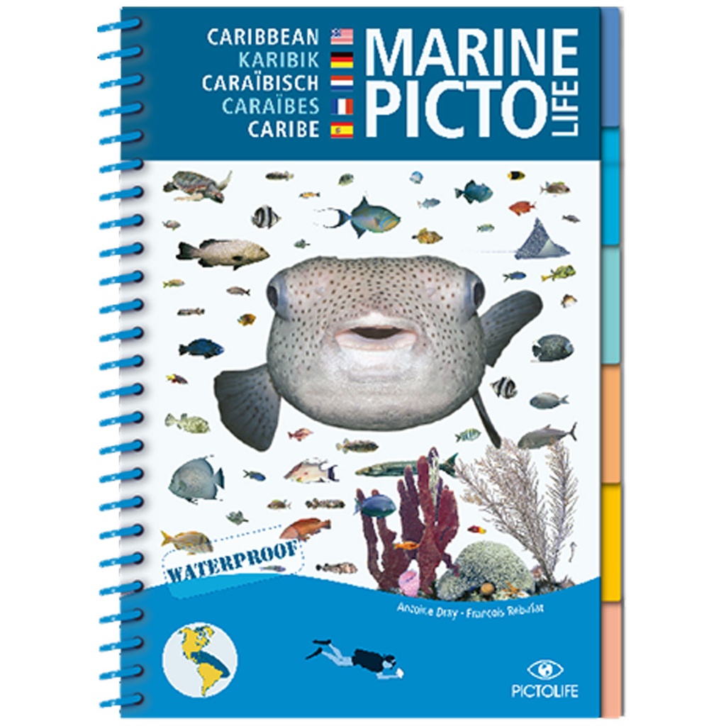 [978-2-9527809-0-2] Pictolife Guía Especies del Caribe