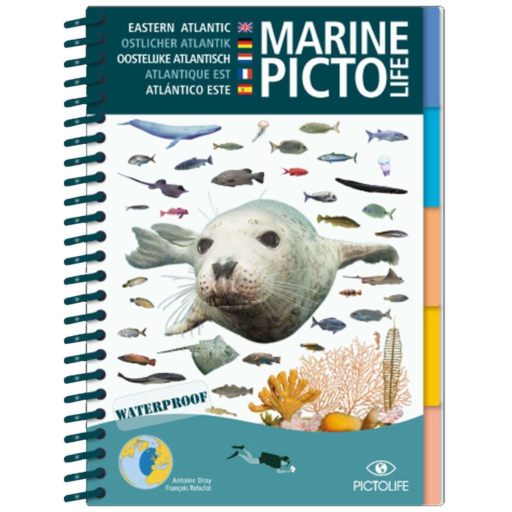 [978-2-9527809-2-6] Pictolife Guía Especies del Atlántico Este