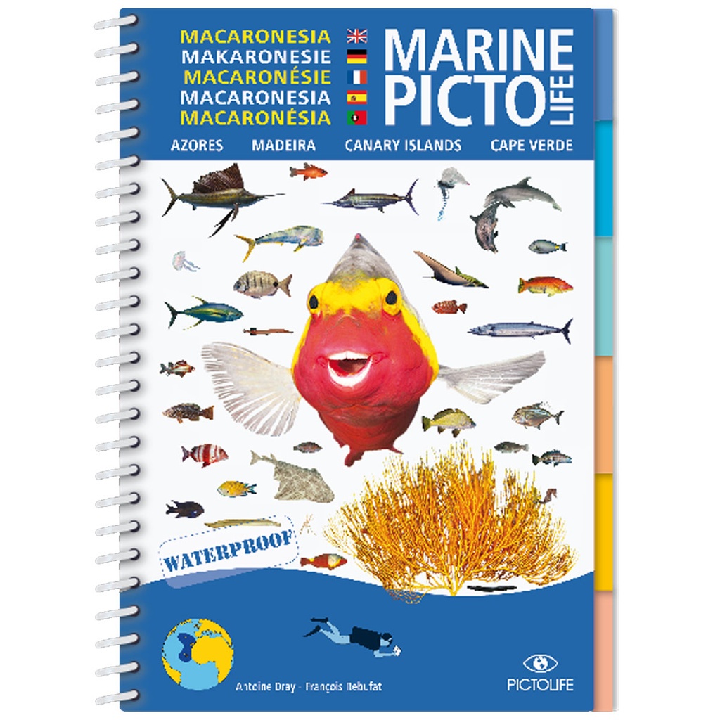 [979-10-96592-02-9] Pictolife Guía Especies de Canarias, Azores, Madeira, Cabo Verde