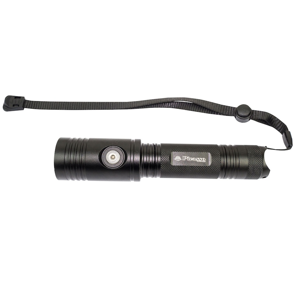 [MERLAN17246] Picasso Maximus Mini LED 1200lm